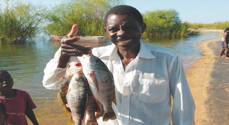Lack of funding chokes fish project