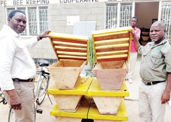 Thamala (L) and Moyo show beehives to be given to communities