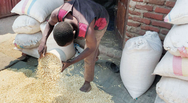  Prices of maize stabilise, drop