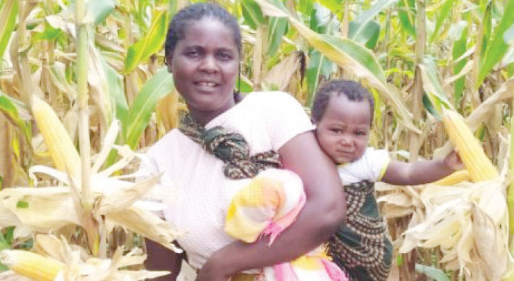 No easy goodbye to maize - The Nation Online