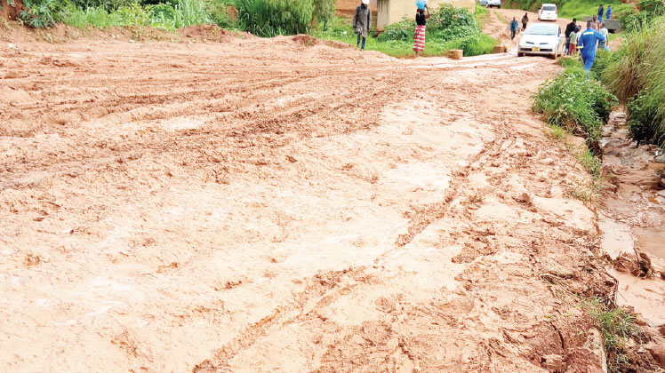 HRDC pens council on poor roads condition - The Nation Online