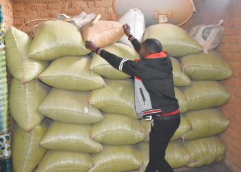 Ronald Msukwa inspects his stack of maize for sale